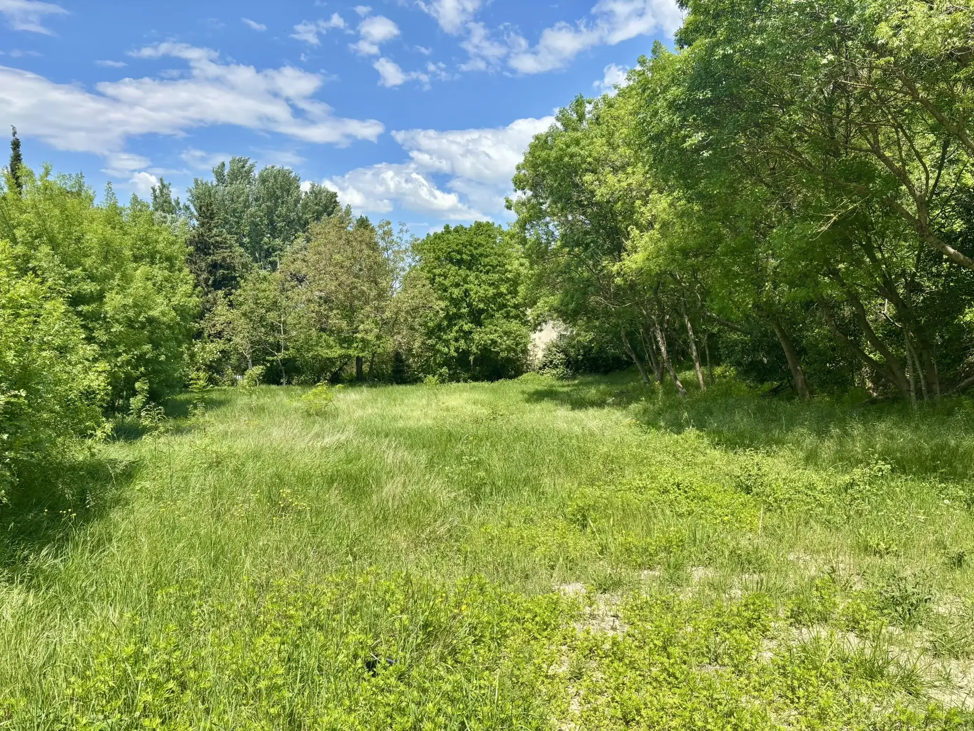 Terrain constructible de 1800 m² à Colonzelle proche Grignan 