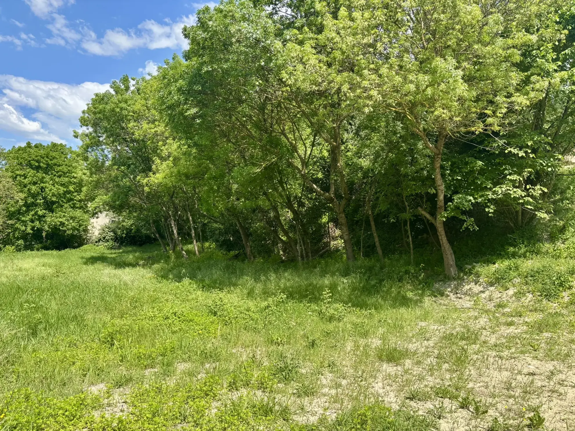Terrain constructible de 1800 m² à Colonzelle proche Grignan 