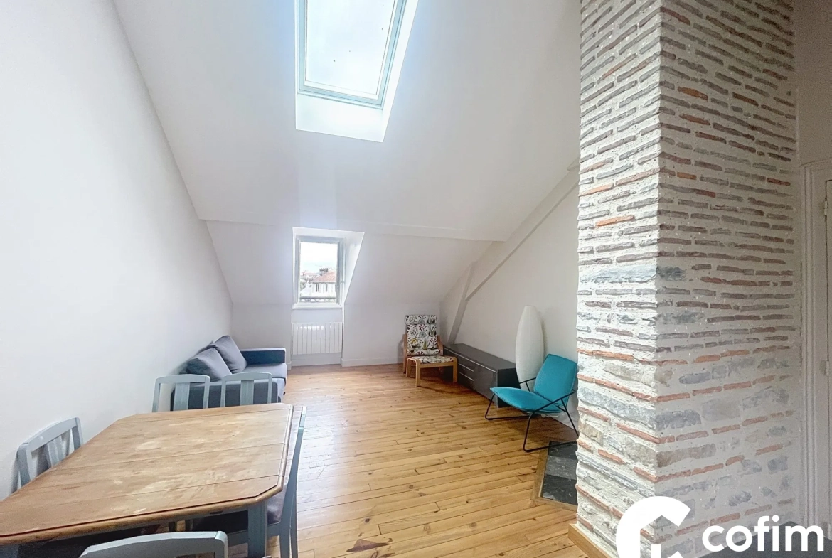 Appartement 2 pièces rénové avec vue sur Pyrénées à Pau 