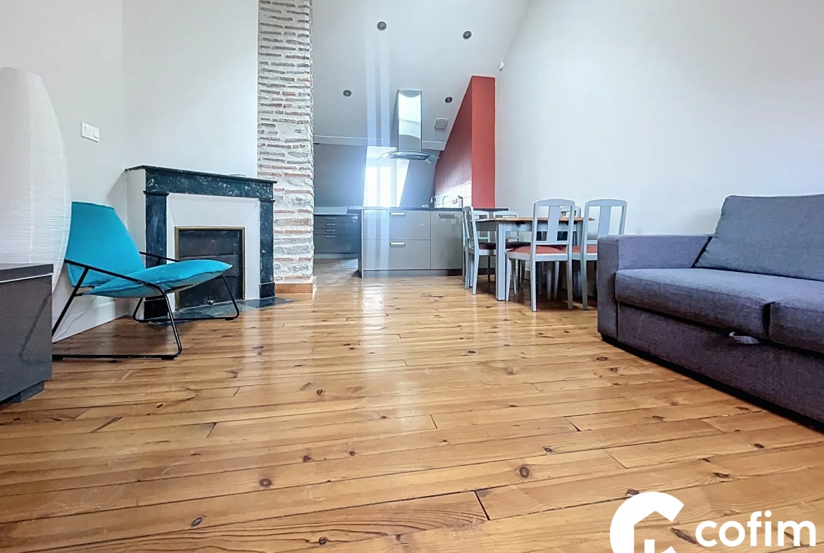 Appartement 2 pièces rénové avec vue sur Pyrénées à Pau 