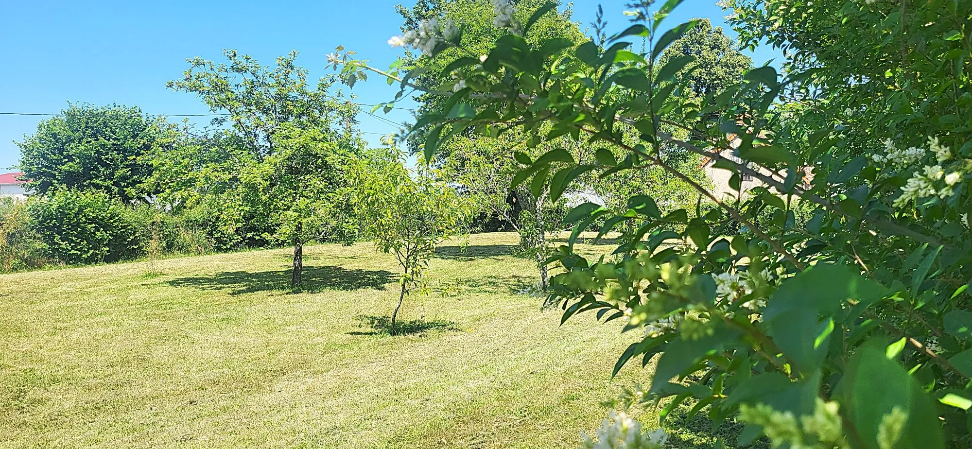 Maison à vendre à La Nocle-Maulaix avec terrain et dépendance 