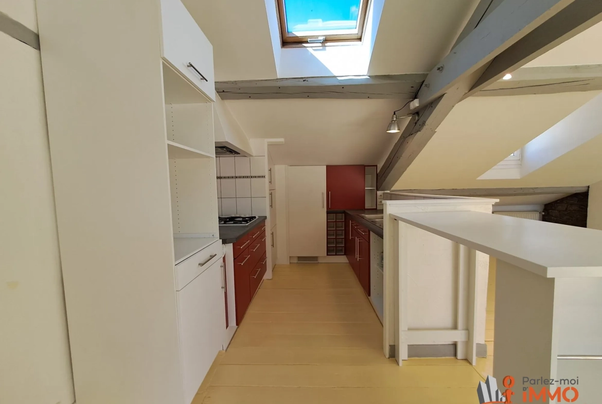 Magnifique appartement traversant de 69m² avec terrasse à Saint-Étienne 