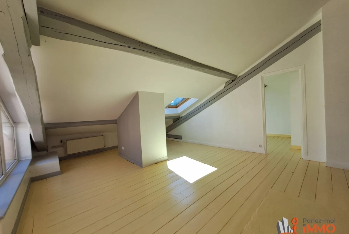 Magnifique appartement traversant de 69m² avec terrasse à Saint-Étienne 