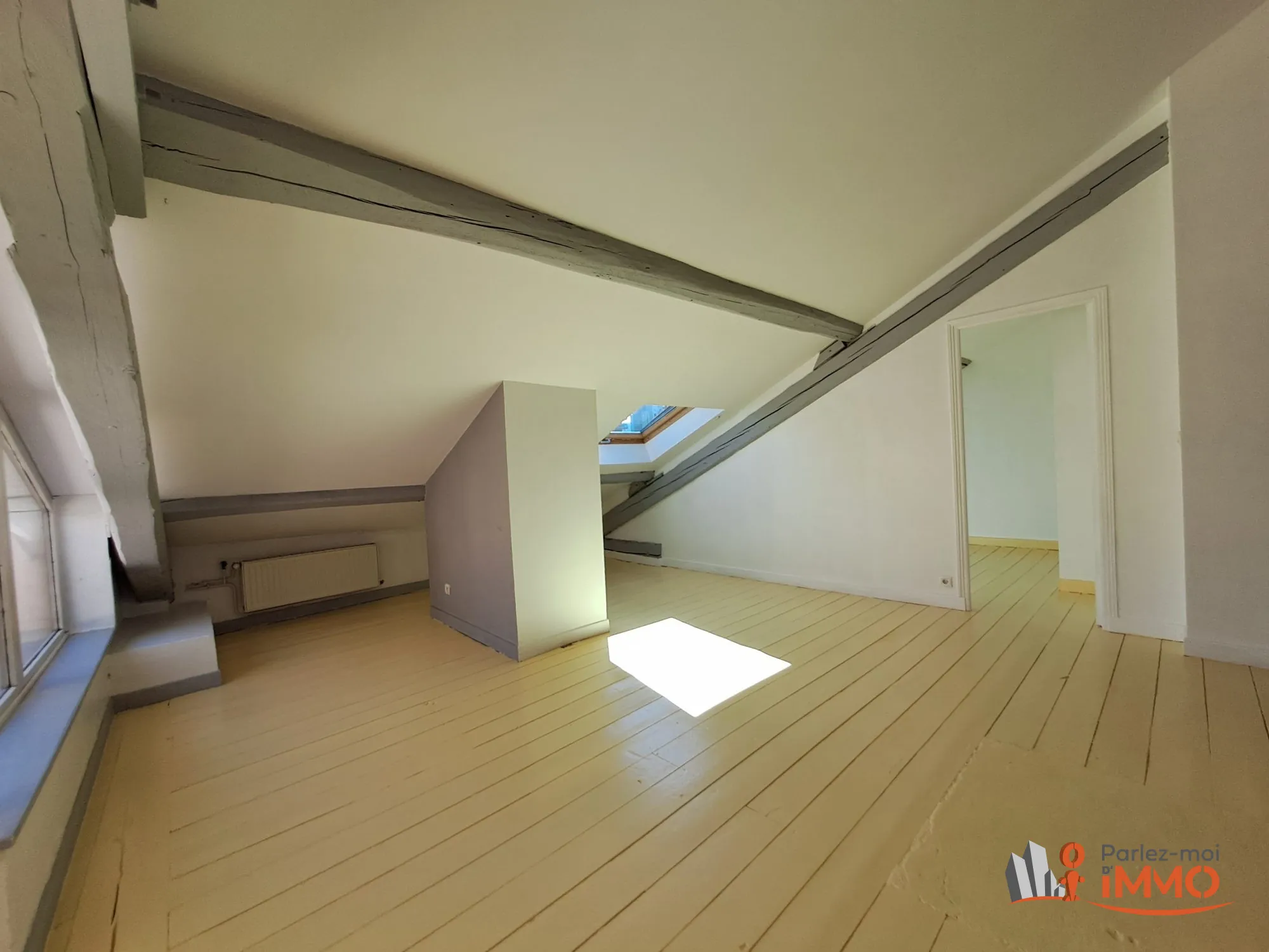 Magnifique appartement traversant de 69m² avec terrasse à Saint-Étienne 