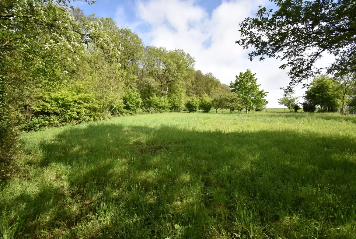 Terrain constructible de 1796 m² à Luigny, prêt à bâtir 
