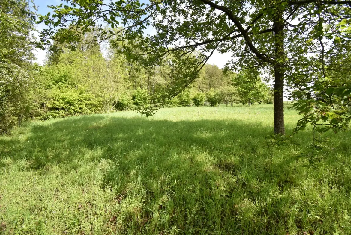 Terrain constructible de 1796 m² à Luigny, prêt à bâtir 