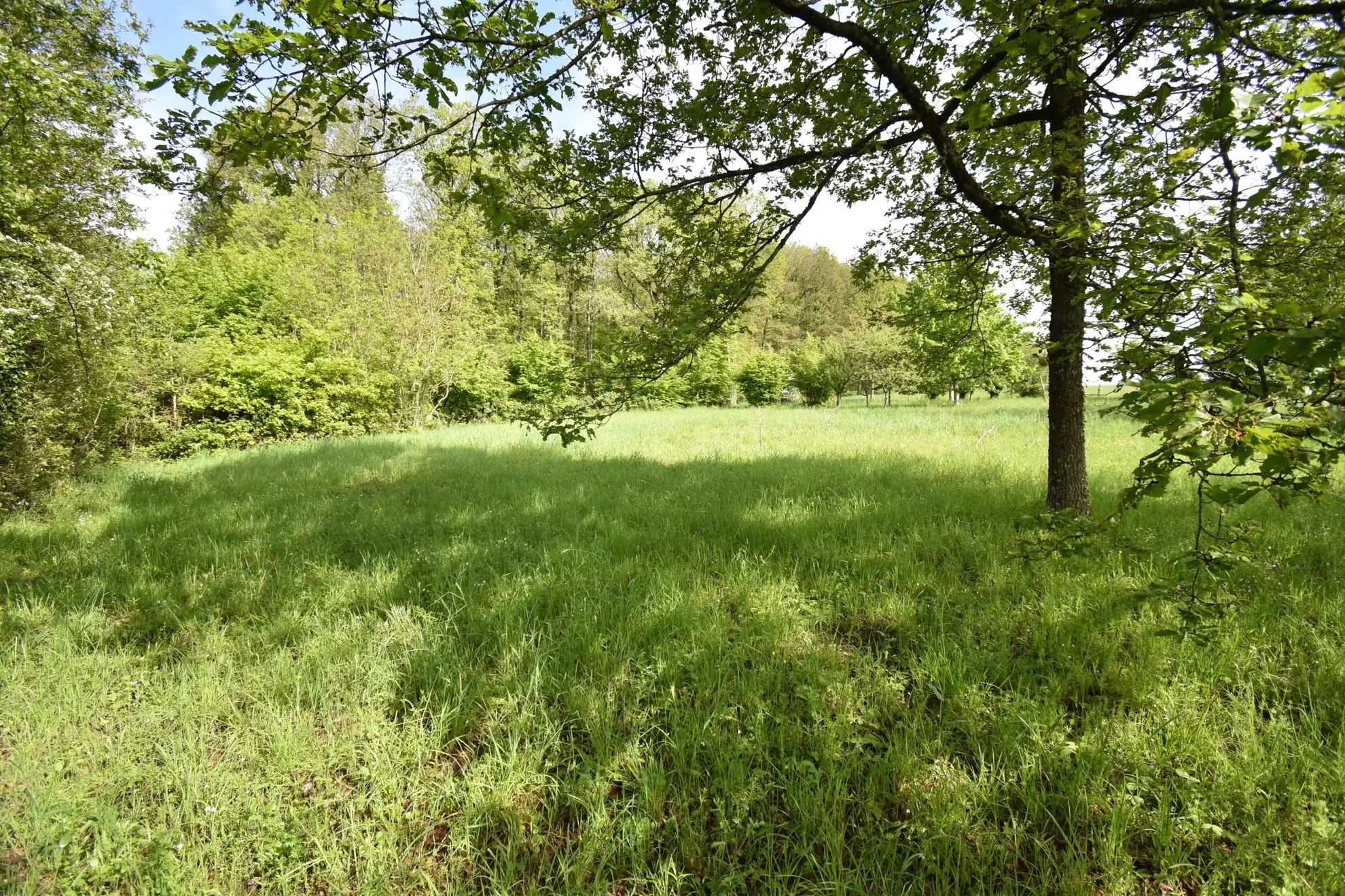 Terrain constructible de 1796 m² à Luigny, prêt à bâtir 