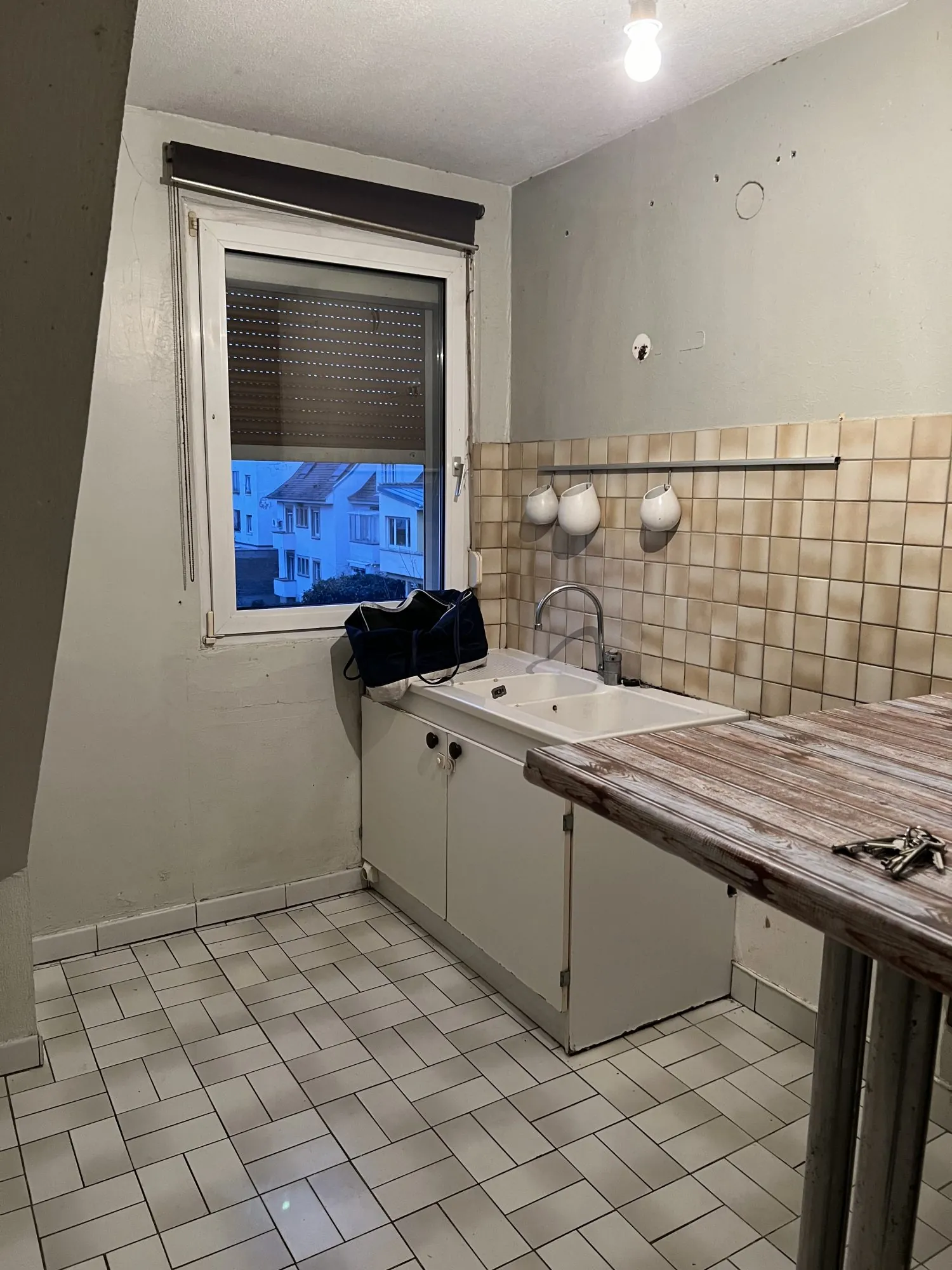 Appartement F3 à rénover avec jardin privatif à Strasbourg idéal investissement ou résidence principale 