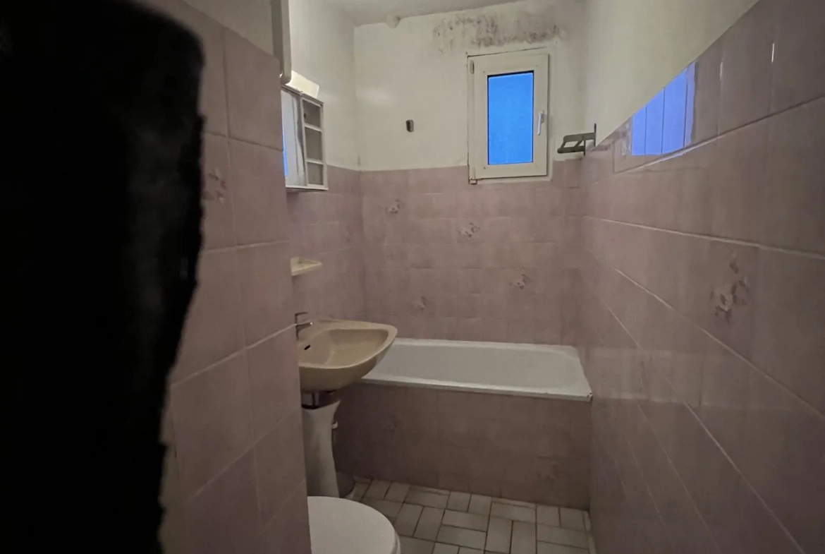 Appartement F3 à rénover avec jardin privatif à Strasbourg idéal investissement ou résidence principale 