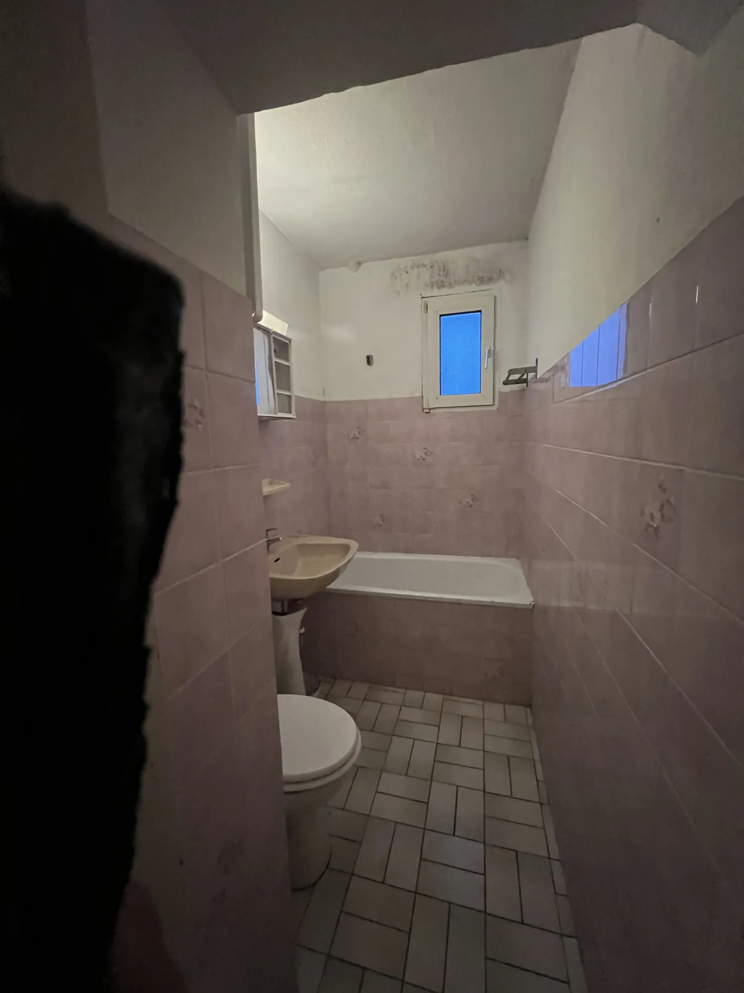 Appartement F3 à rénover avec jardin privatif à Strasbourg idéal investissement ou résidence principale 