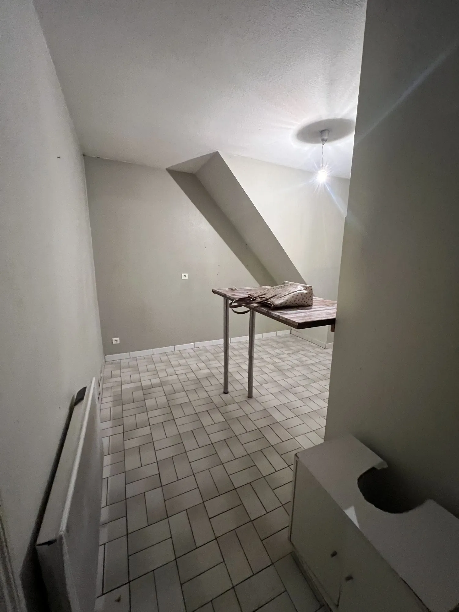 Appartement F3 à rénover avec jardin privatif à Strasbourg idéal investissement ou résidence principale 