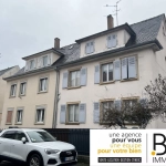 Appartement F3 à rénover avec jardin privatif à Strasbourg idéal investissement ou résidence principale