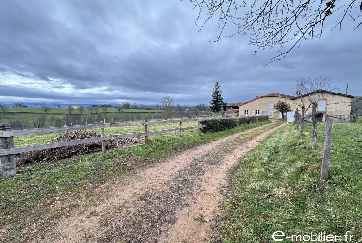 Achat maison ancienne avec dépendances à Pouilly-sous-Charlieu 