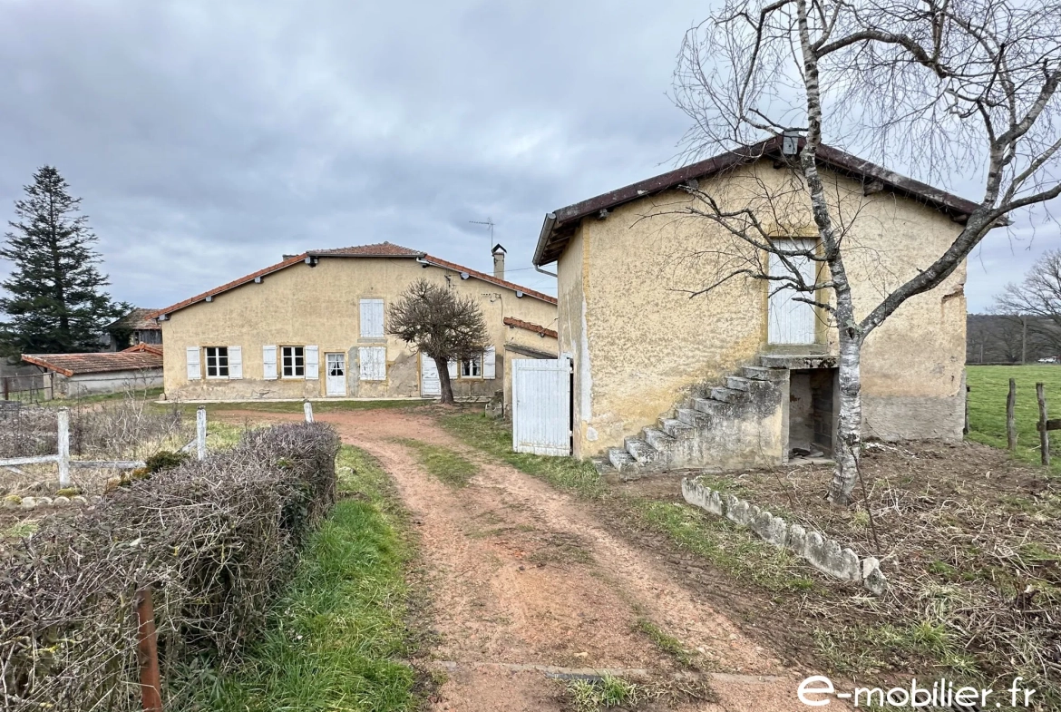 Achat maison ancienne avec dépendances à Pouilly-sous-Charlieu 