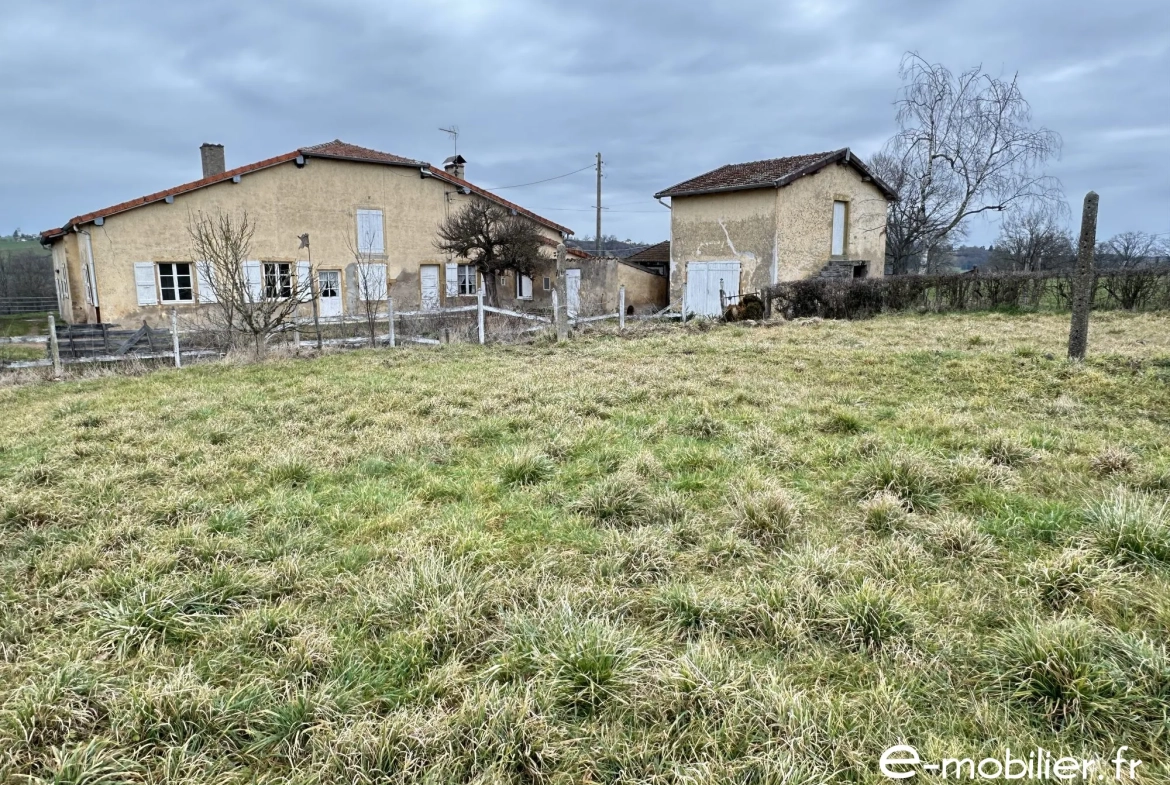 Achat maison ancienne avec dépendances à Pouilly-sous-Charlieu 