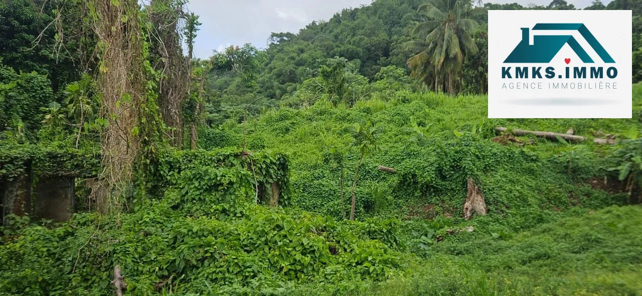 Terrain constructible de 2 300m² au Lamentin - Projet résidentiel et agricole 