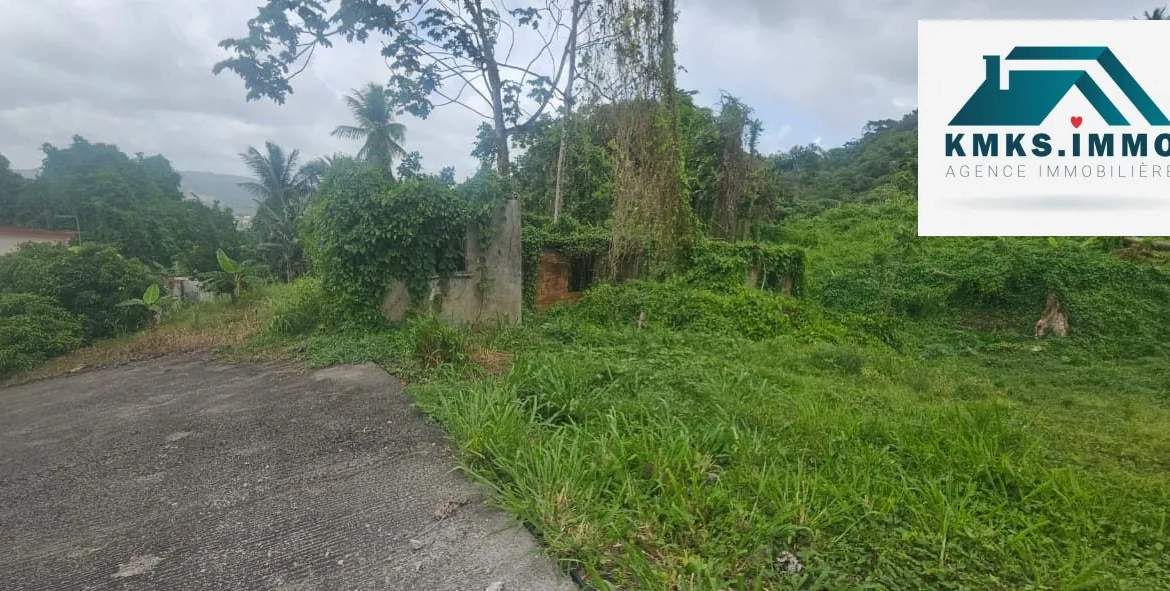 Terrain constructible de 2 300m² au Lamentin - Projet résidentiel et agricole 