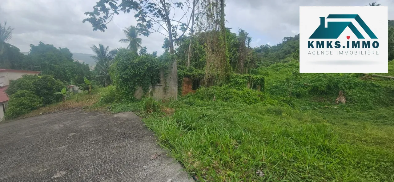 Terrain constructible de 2 300m² au Lamentin - Projet résidentiel et agricole 