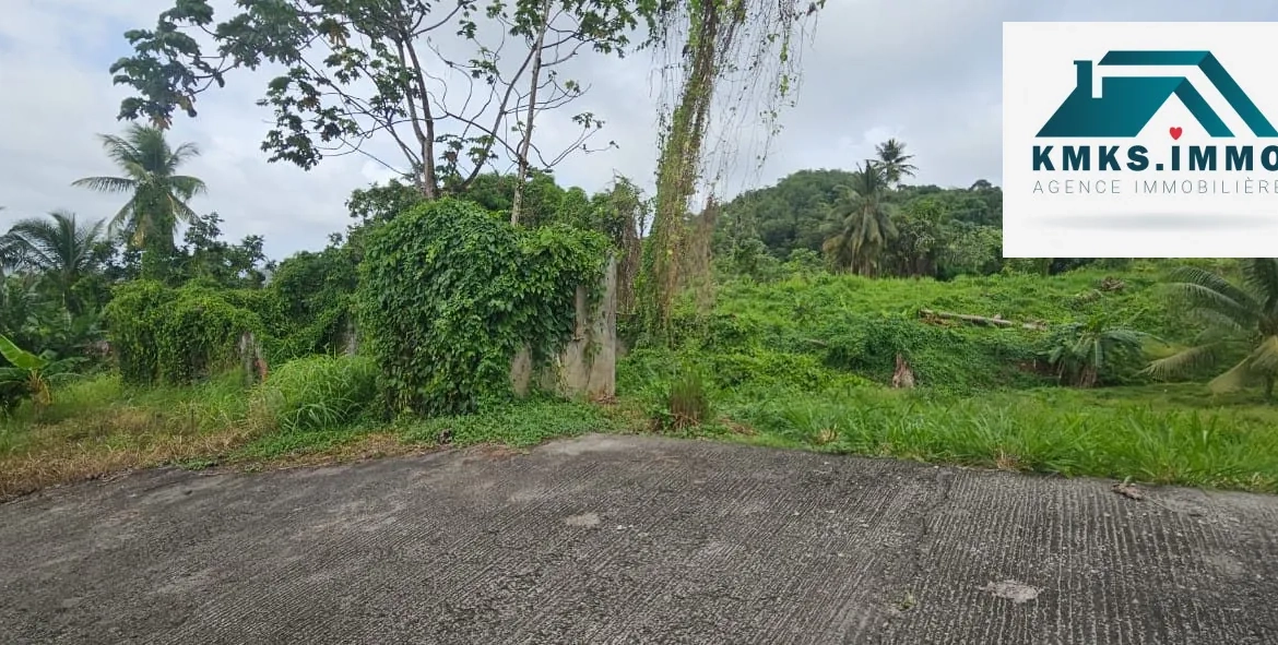 Terrain constructible de 2 300m² au Lamentin - Projet résidentiel et agricole 