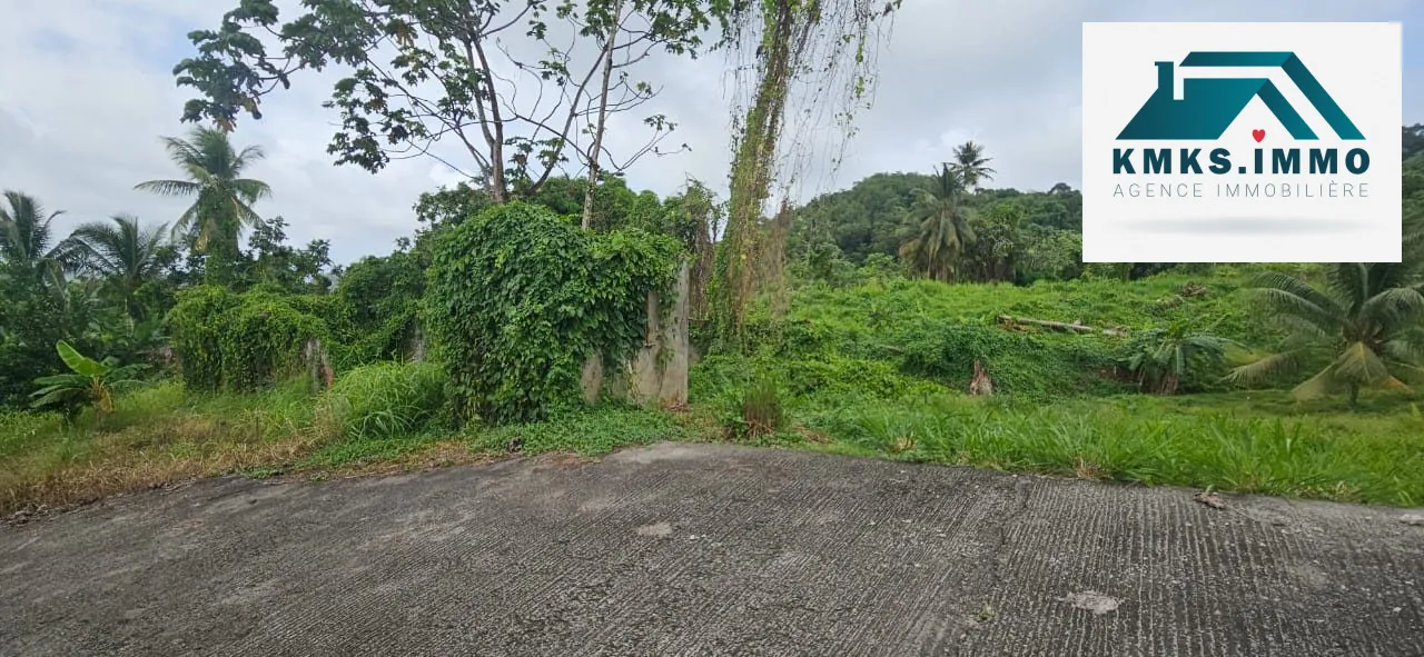 Terrain constructible de 2 300m² au Lamentin - Projet résidentiel et agricole 