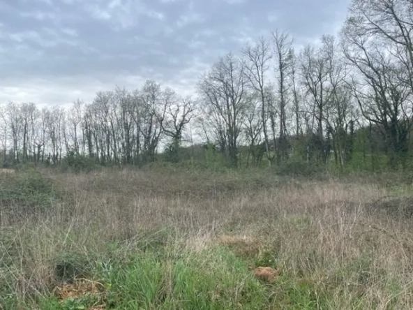 Terrain à bâtir de 1176 m² à Puymoyen, environnement paisible