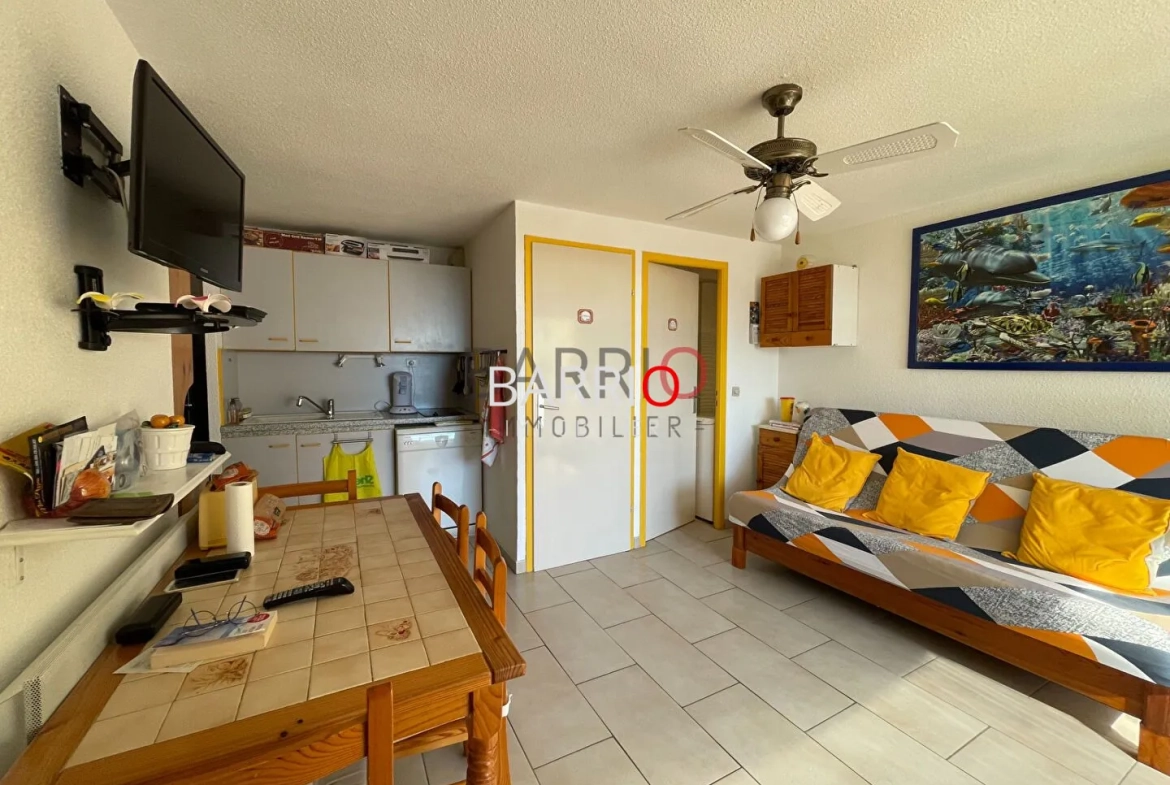 Charmant appartement T2 cabine avec vue mer à Saint-Cyprien à 150 m de la plage 