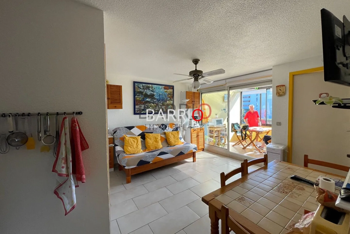 Charmant appartement T2 cabine avec vue mer à Saint-Cyprien à 150 m de la plage 
