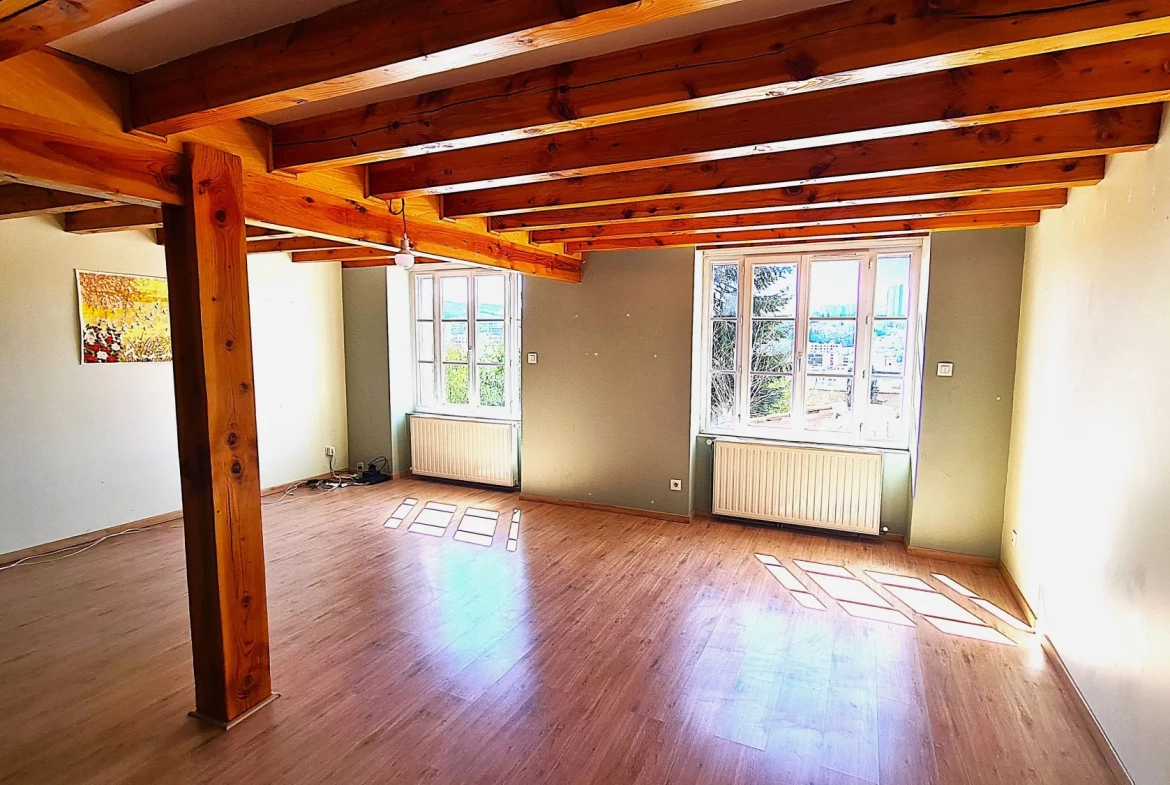 Appartement duplex T3 lumineux avec jardin à Saint-Étienne 