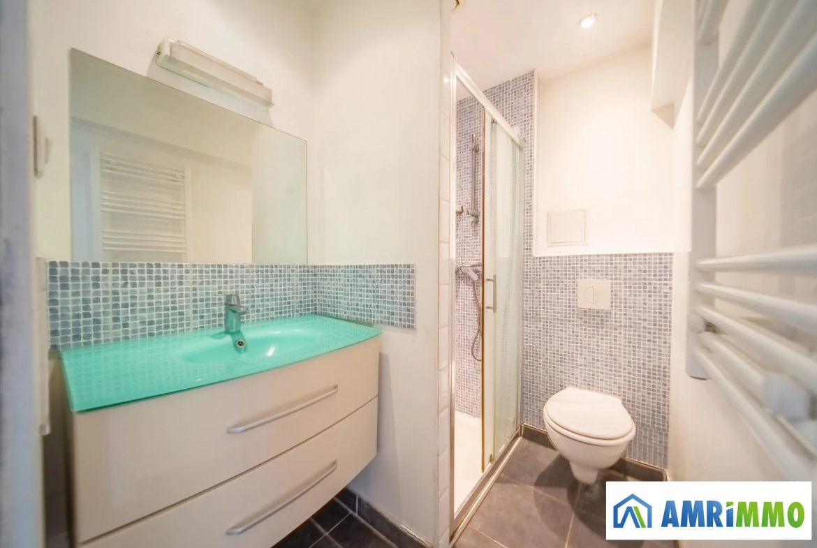Appartement T1 lumineux à Villerupt - 38 m² dernier étage 