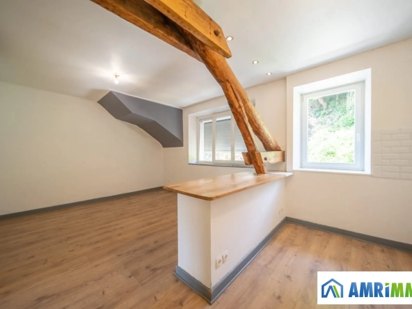 Appartement T1 lumineux à Villerupt - 38 m² dernier étage