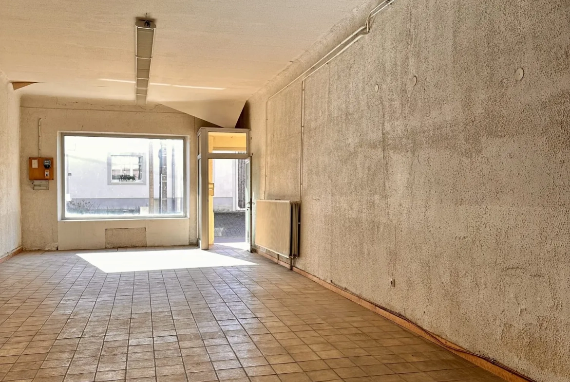 Maison à Bousbach avec terrasse, cave et local professionnel indépendant 