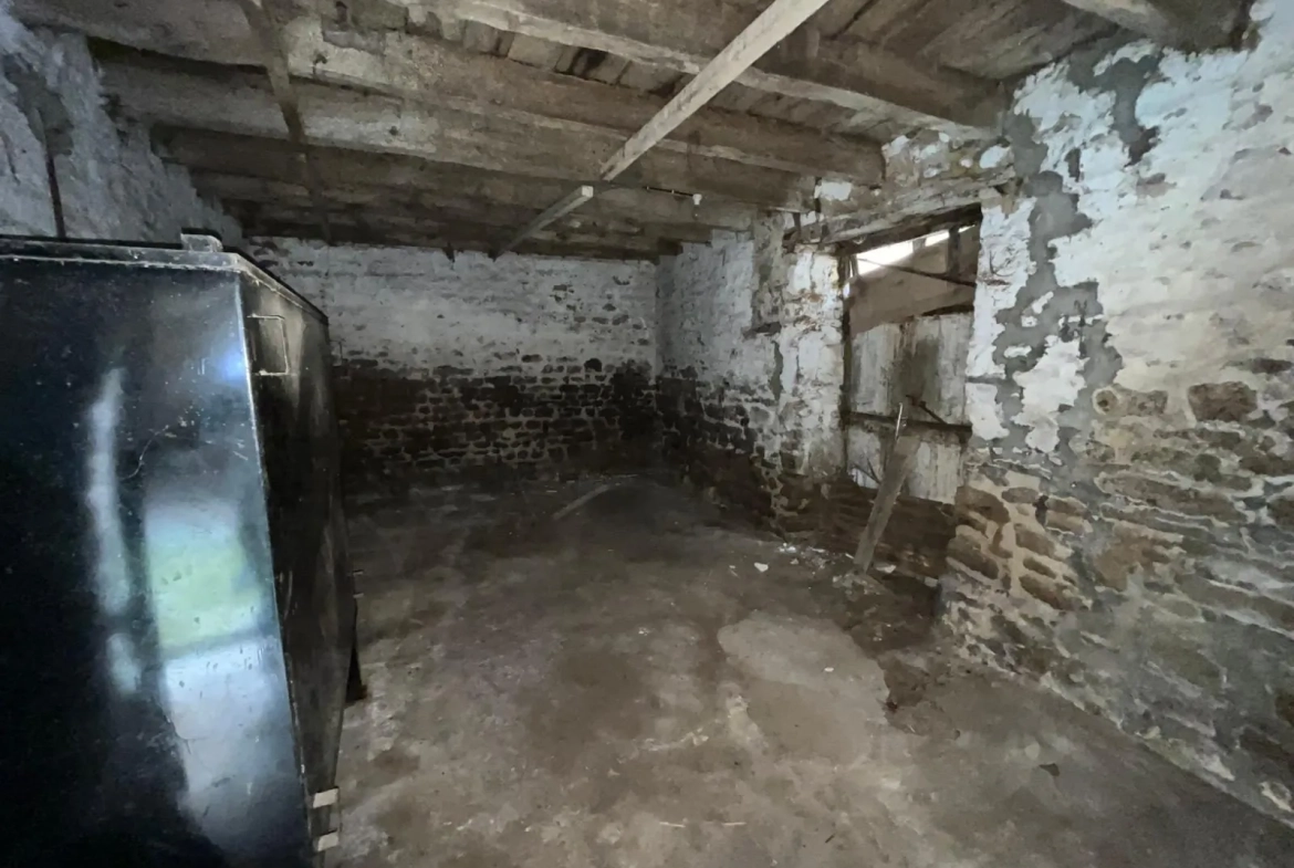 Charmante maison à vendre à Sens-de-Bretagne avec garage, préau et fort potentiel de rénovation 