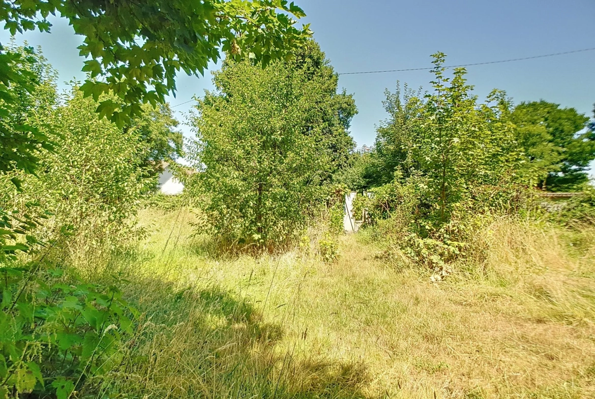 Terrain constructible de 926 m² à Chatonnay pour projet immobilier 