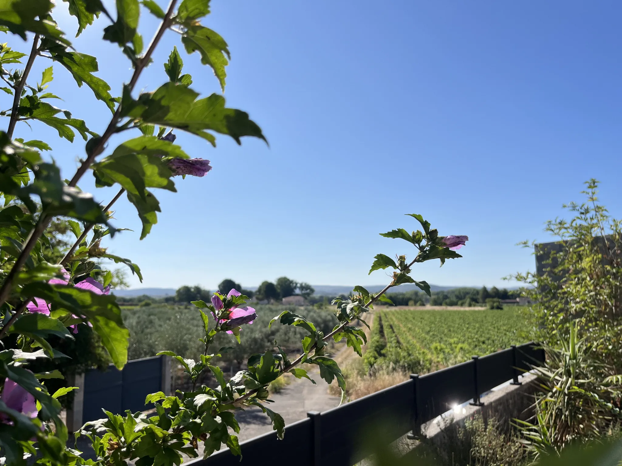 Villa de plain-pied avec jardin et garage à Saint-André-de-Sangonis 