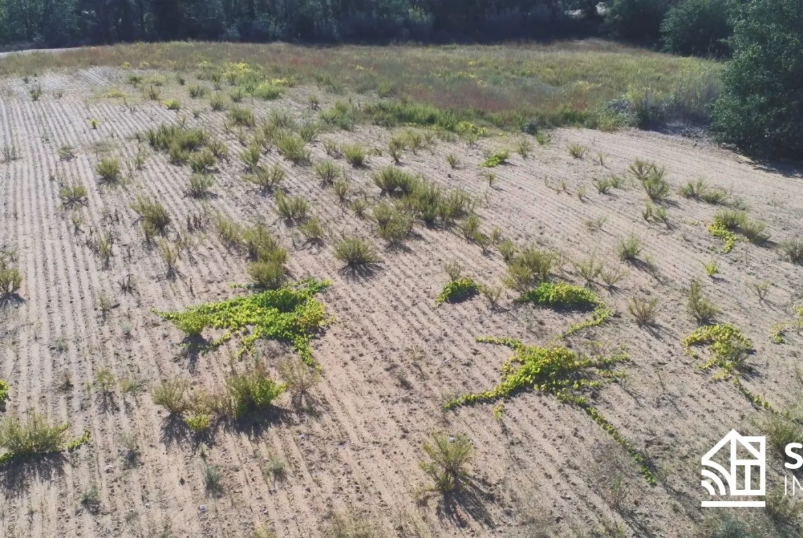 Terrain Agricole de 3 Hectares Proche du Boulou à Vendre 