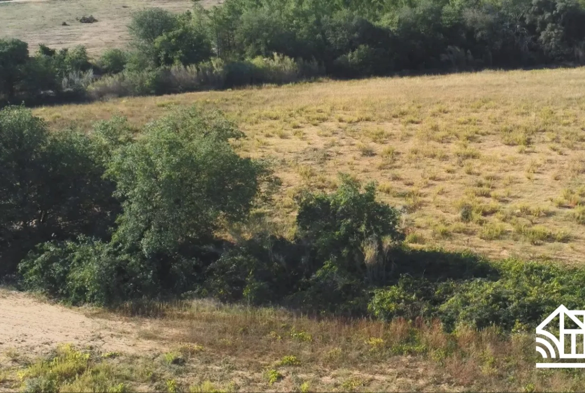 Terrain Agricole de 3 Hectares Proche du Boulou à Vendre 