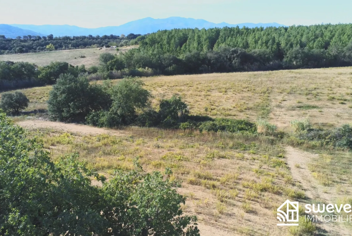 Terrain Agricole de 3 Hectares Proche du Boulou à Vendre 