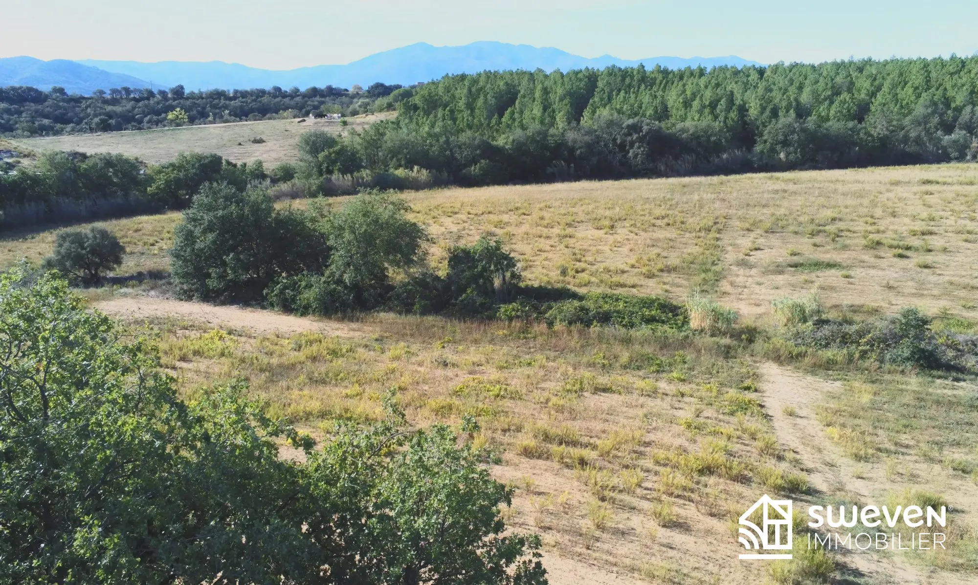Terrain Agricole de 3 Hectares Proche du Boulou à Vendre 