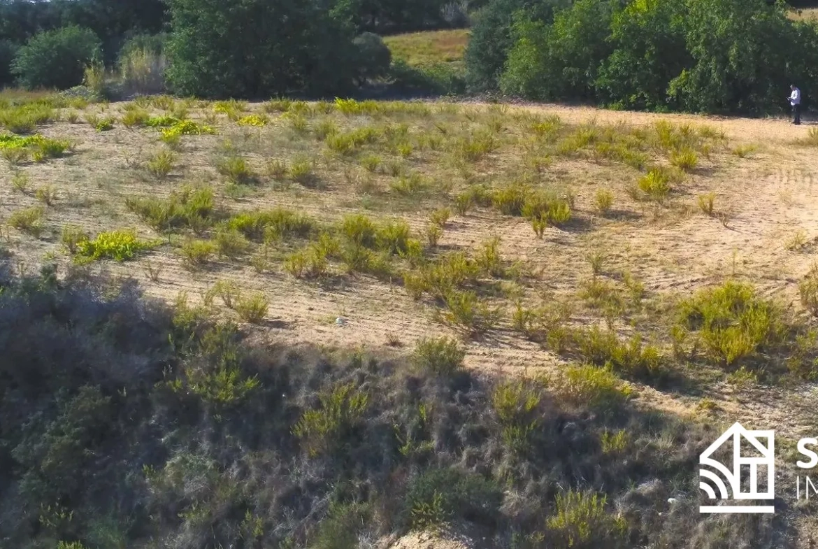 Terrain Agricole de 3 Hectares Proche du Boulou à Vendre 