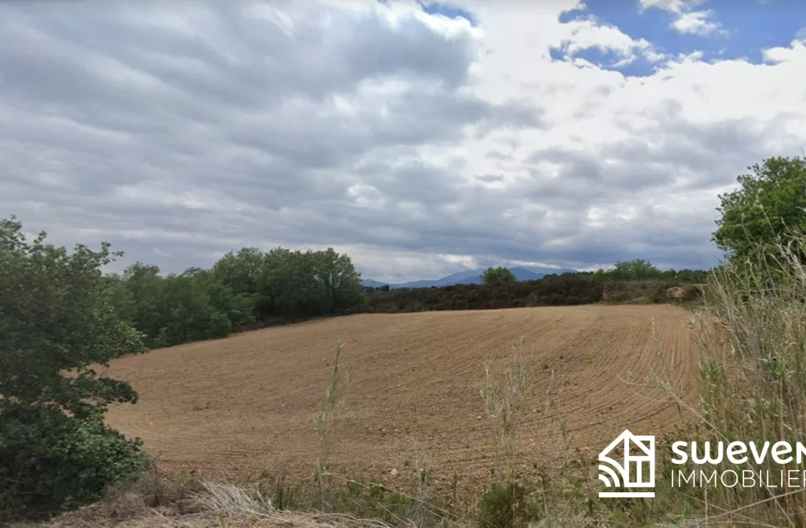 Terrain Agricole de 3 Hectares Proche du Boulou à Vendre 