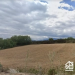 Terrain Agricole de 3 Hectares Proche du Boulou à Vendre