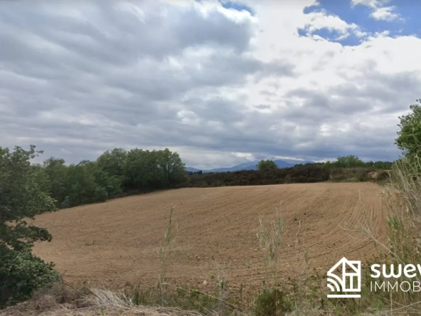 Terrain Agricole de 3 Hectares Proche du Boulou à Vendre