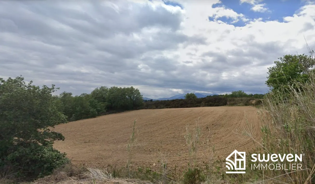 Terrain Agricole de 3 Hectares Proche du Boulou à Vendre 