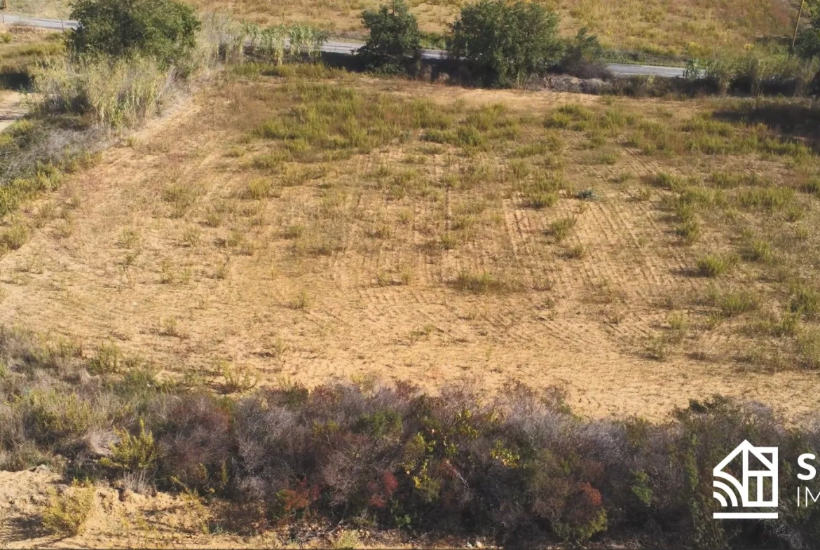 Terrain Agricole de 3 Hectares Proche du Boulou à Vendre 