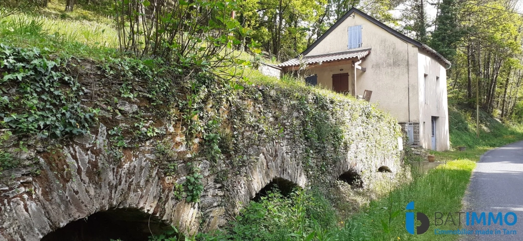Maison en pierre avec terrain boisé dans la vallée du Tarn à Trebas