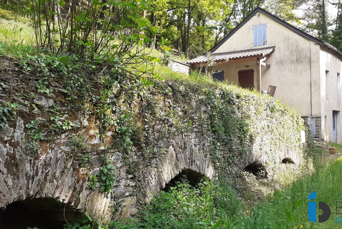 Maison en pierre avec terrain boisé dans la vallée du Tarn à Trebas 