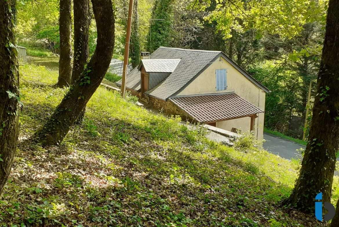 Maison en pierre avec terrain boisé dans la vallée du Tarn à Trebas 