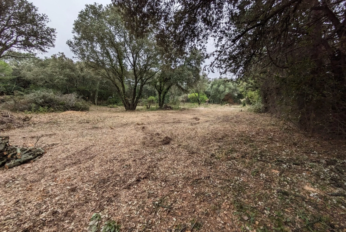 Terrain arboré de 1200 m² à Villevieille pour construction avec piscine 