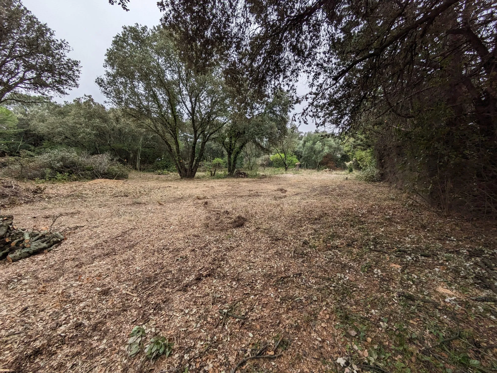 Terrain arboré de 1200 m² à Villevieille pour construction avec piscine 