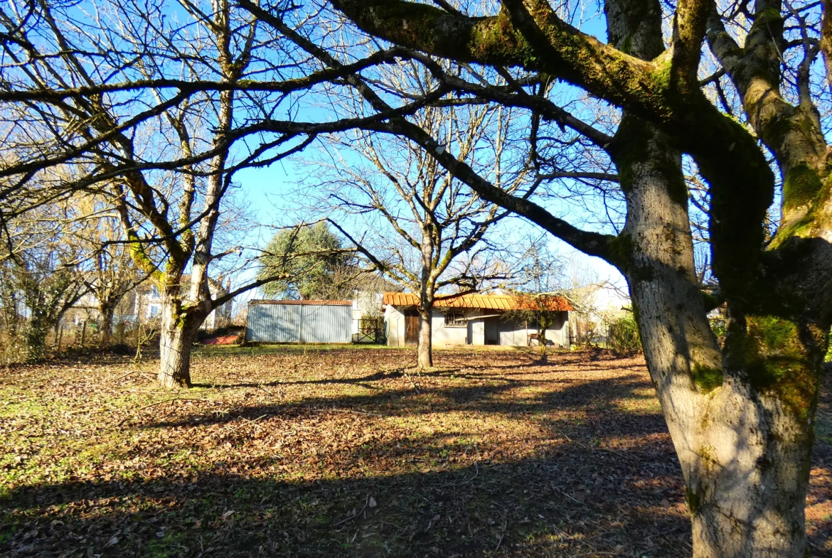 Maison en pierre avec grand terrain et potentiel d'aménagement à Jussac 
